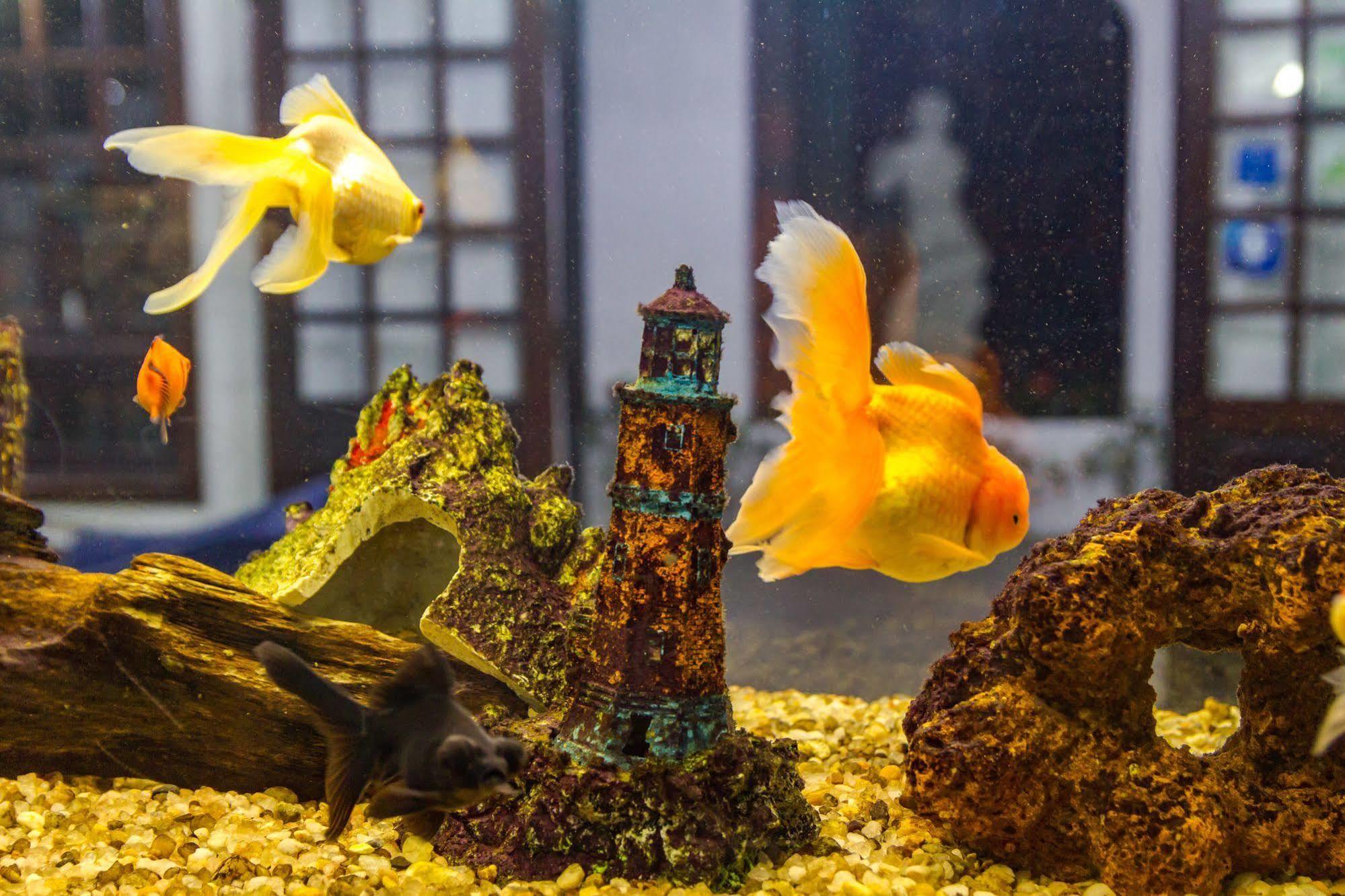 Pousada Torre Del Mar Убатуба Экстерьер фото